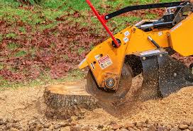 Tree and Shrub Care in Deerfield, IL